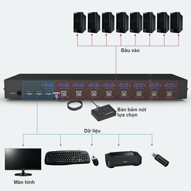 KVM SWITCH MTVIKI MT801UK