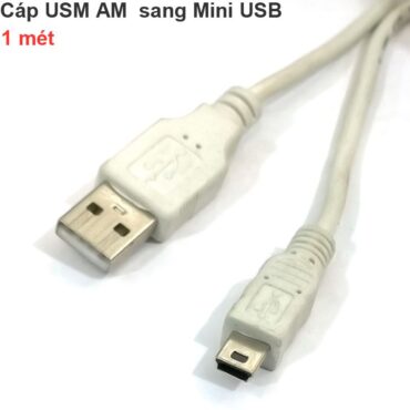 Cáp USB AM sang Mini USB 1 mét cho Máy tính ra Máy ảnh Avermedia GL310 - Phụ Kiện Điện Tử Việt Nam