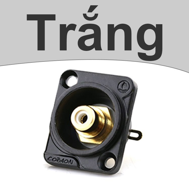 Đầu hàn jack cắm AV RCA Video Female có mặt bắt vít Coraon LC-RCA - 2 4 9 - Phụ Kiện Điện Tử Việt Nam