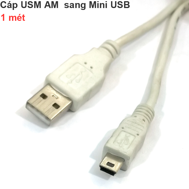 cap usb am - mini usb