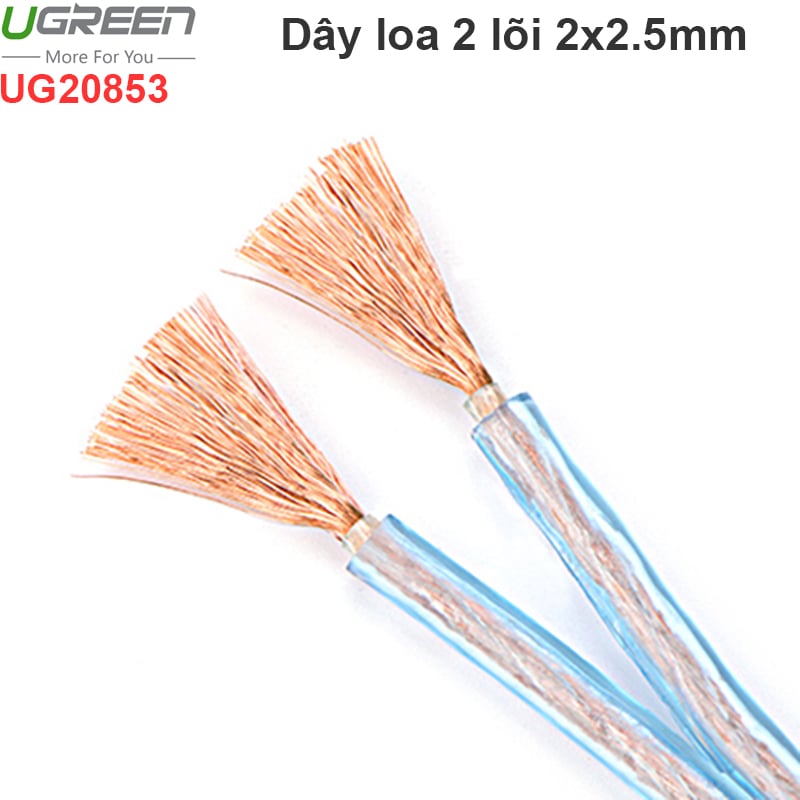 day am thanh 2 lõi 2.5mm ugreen