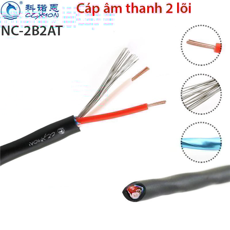 cap am thanh 2 loi han cap audio 3.5mm coraon NC-2B2AT