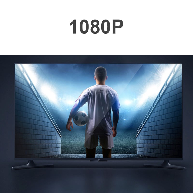 dau doi DVI ra HD VEGGIEG HD24-1