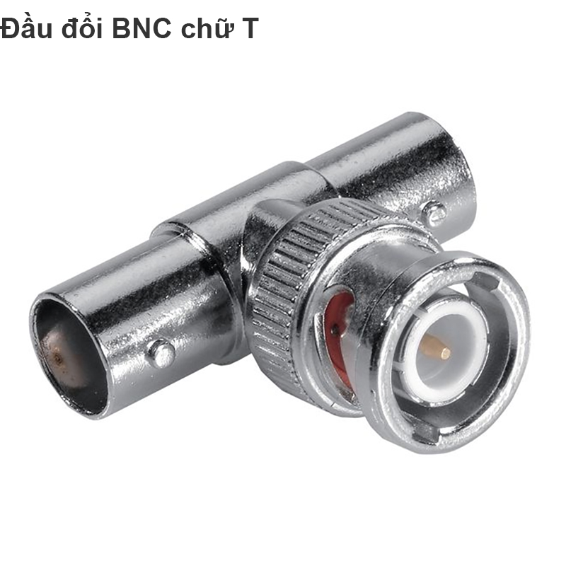 dau doi bnc chu t